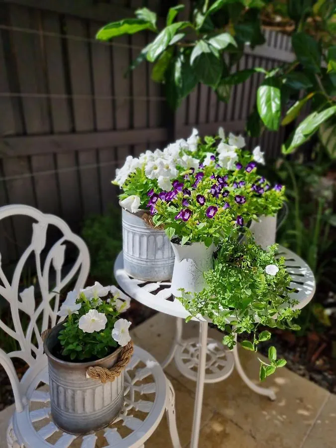 **** Bed & Breakfast Edward Lodge New Fam Brisbane Australia
