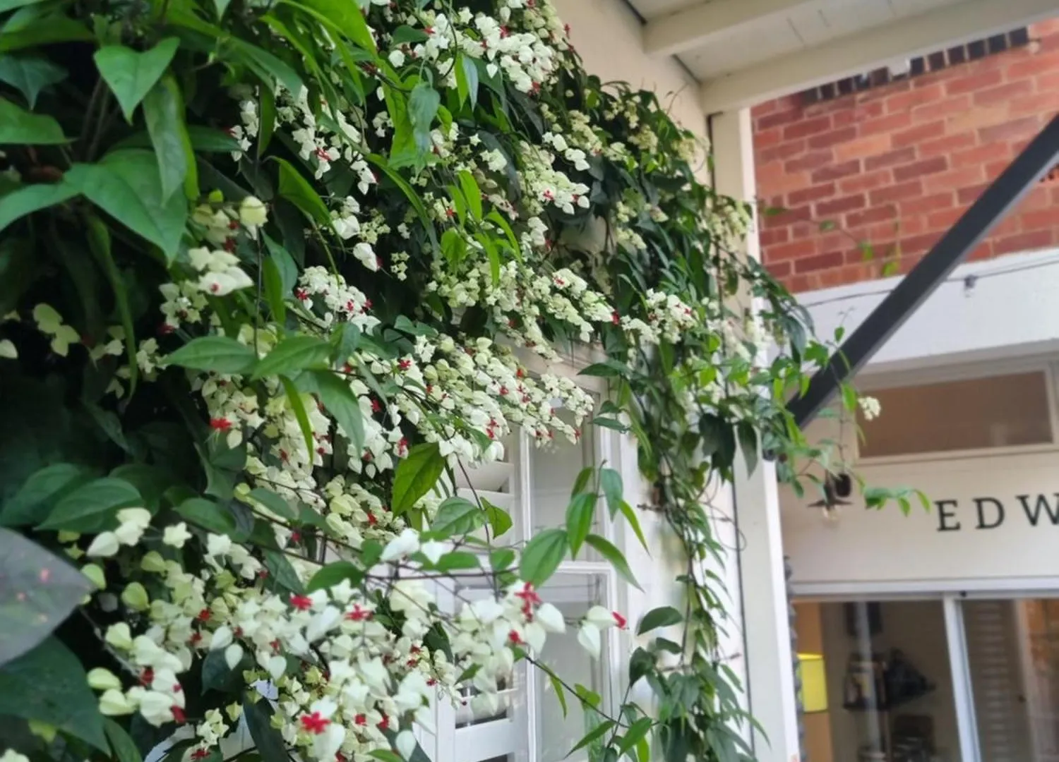 Bed & Breakfast Edward Lodge New Fam Brisbane