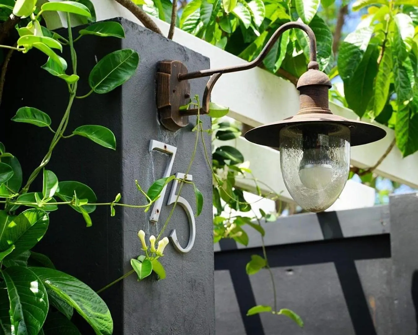 Edward Lodge New Fam Brisbane Bed & Breakfast
